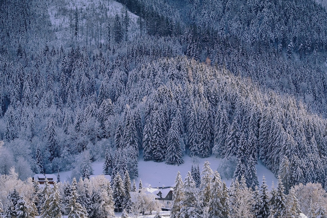 Wallpaper 3